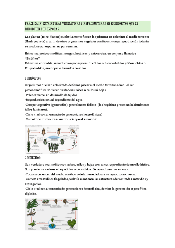 Miniatura del documento PRACTICAS-4-7.pdf