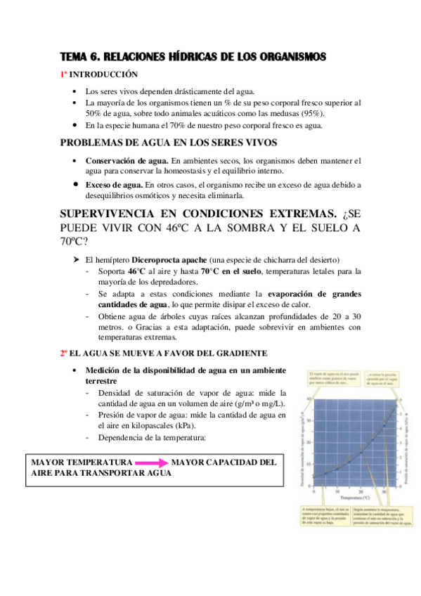 Miniatura del documento TEMA-6.pdf