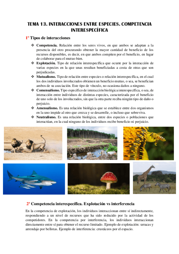 Miniatura del documento TEMA-13.pdf