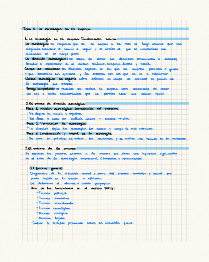 Miniatura del documento Tema-5-resumen-La-estrategia-en-la-empresa.pdf