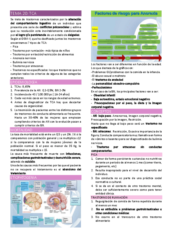 Miniatura del documento TEMA-20.pdf