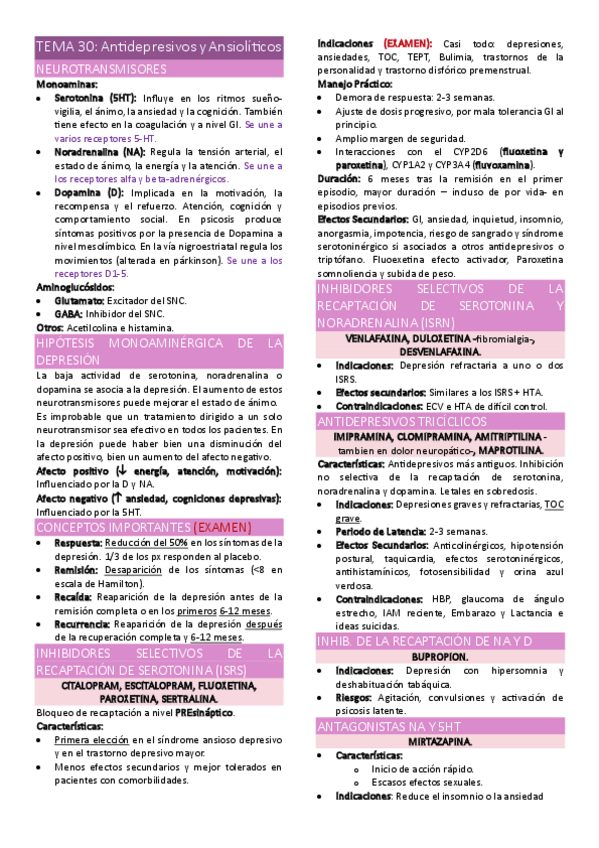 Miniatura del documento TEMA-30.pdf
