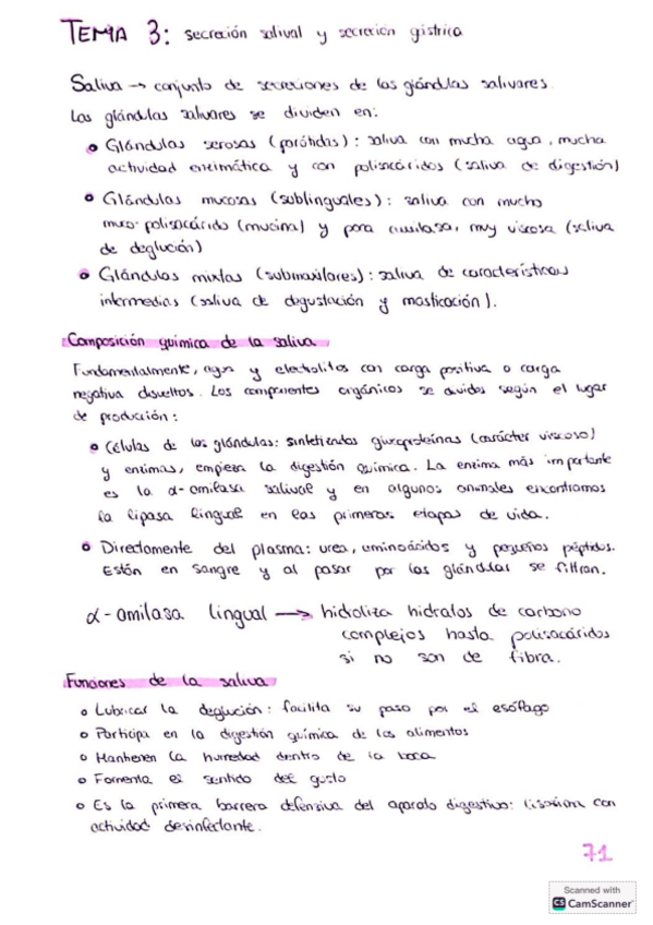 Miniatura del documento Tema-3-digestivo.pdf