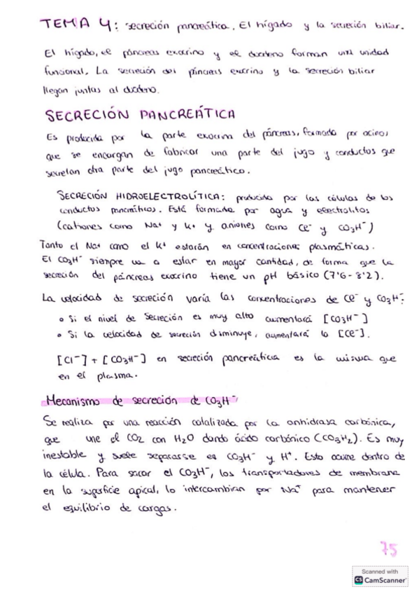Miniatura del documento Tema-4-digestivo.pdf