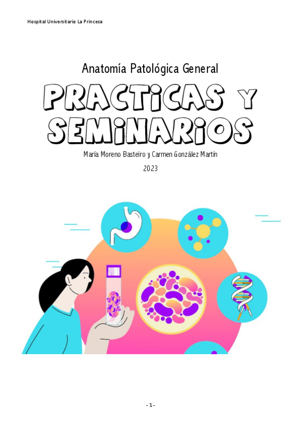 Miniatura del documento Seminarios-y-Practicas-AP-La-Princesa.pdf