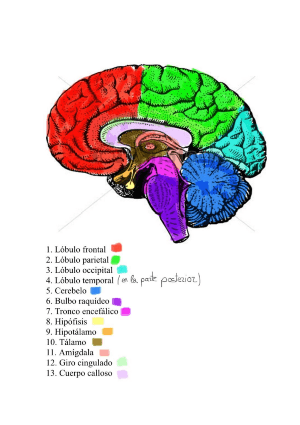 Miniatura del documento TAREA-TEMA-3.pdf
