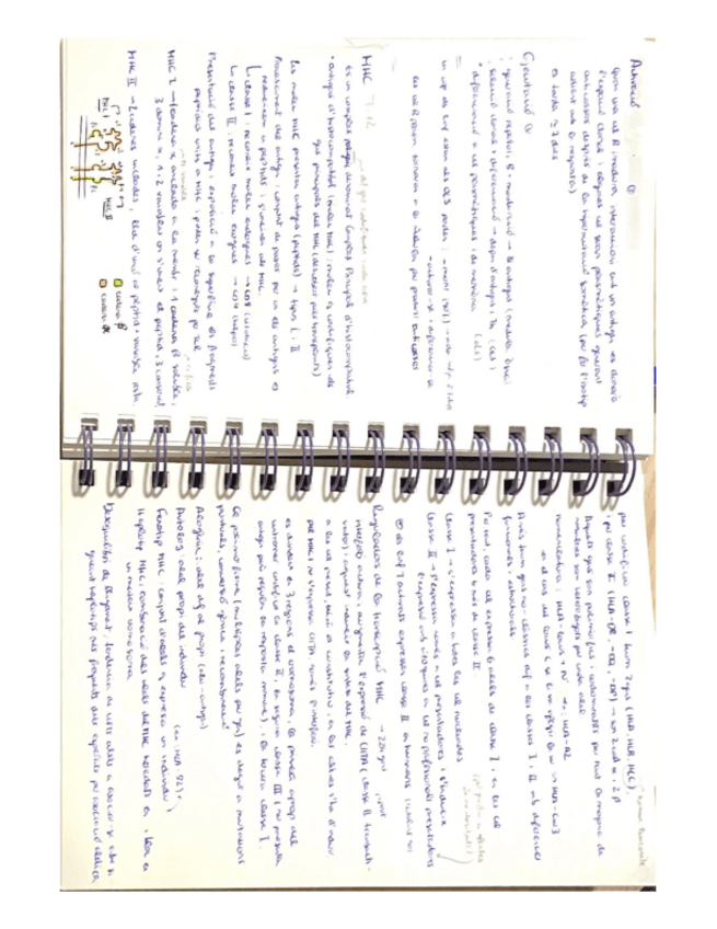 Miniatura del documento Immuno-1.pdf