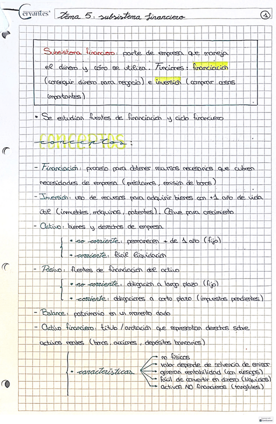 Miniatura del documento TEMA-5-SUBSISTEMA-FINANCIERO.pdf