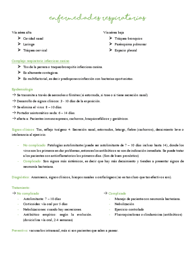 Miniatura del documento Enfermedades-respiratorias-resumen-libro.pdf