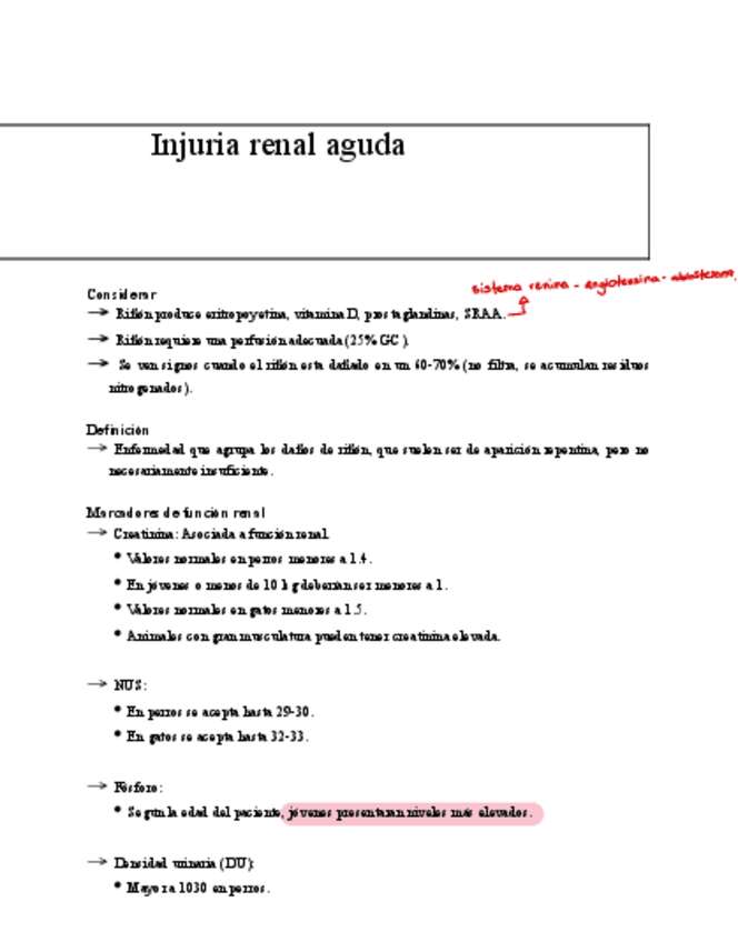 Miniatura del documento Resumen-renal-S2.pdf
