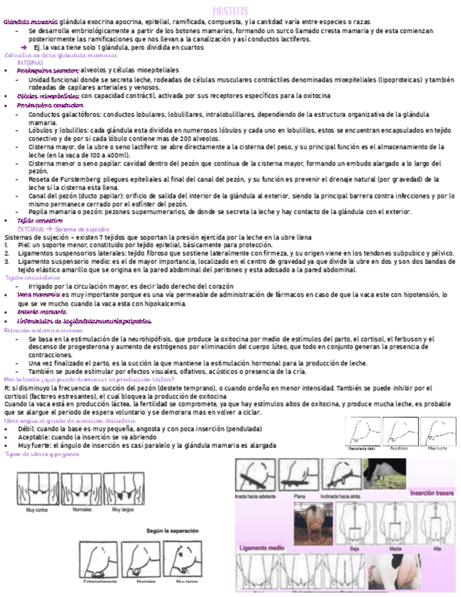 Miniatura del documento Mastitis-solemne-3.pdf