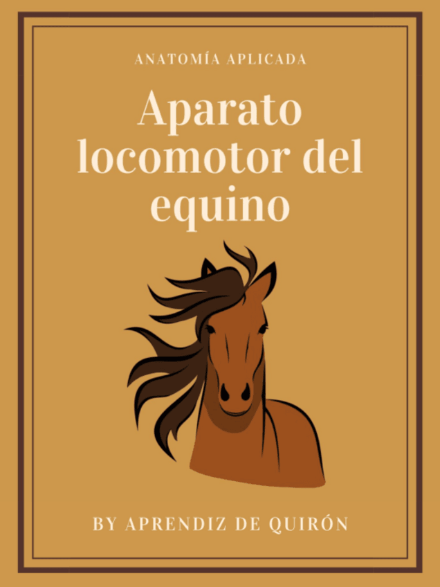 Miniatura del documento Aparato-locomotor-del-equino-ramo-medicina.pdf