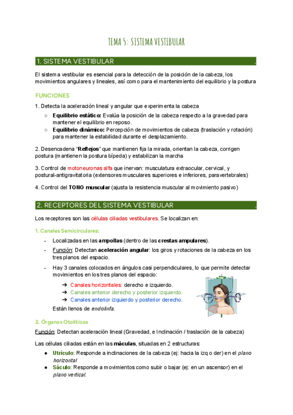 Miniatura del documento TEMA-SISTEMA-VESTIBULAR.pdf