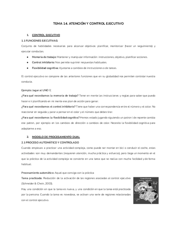 Miniatura del documento TEMA-14.-ATENCION-Y-CONTROL-EJECUTIVO.pdf