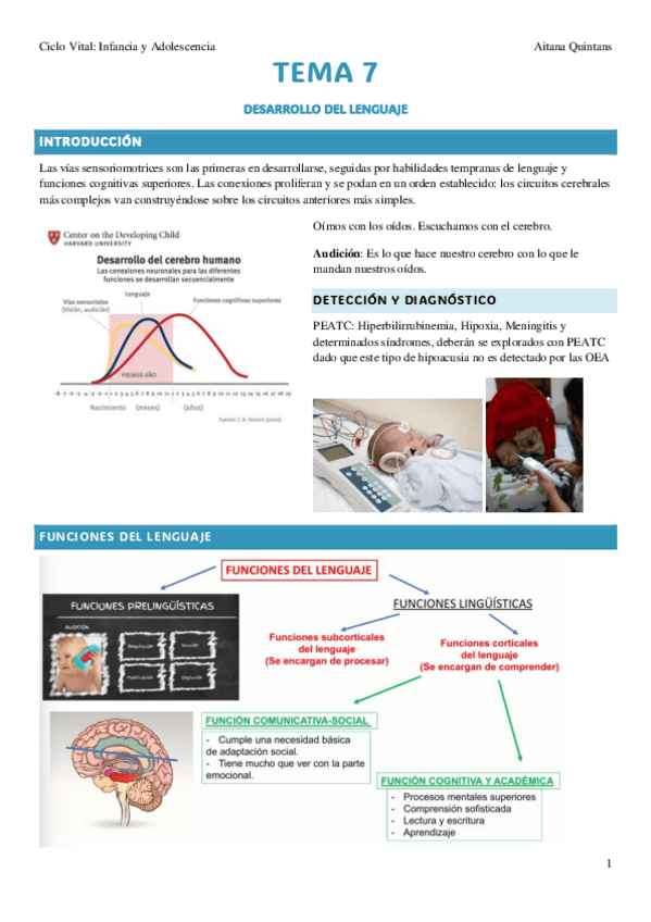 Miniatura del documento TEMA-7-CICLO-VITAL.pdf