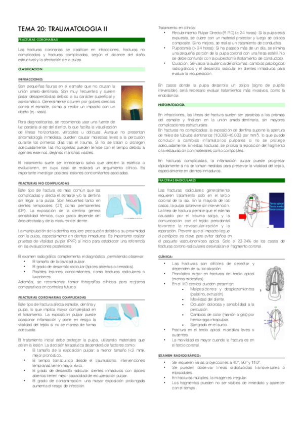 Miniatura del documento TEMA-20-TRAUMATOLOGIA-II.pdf