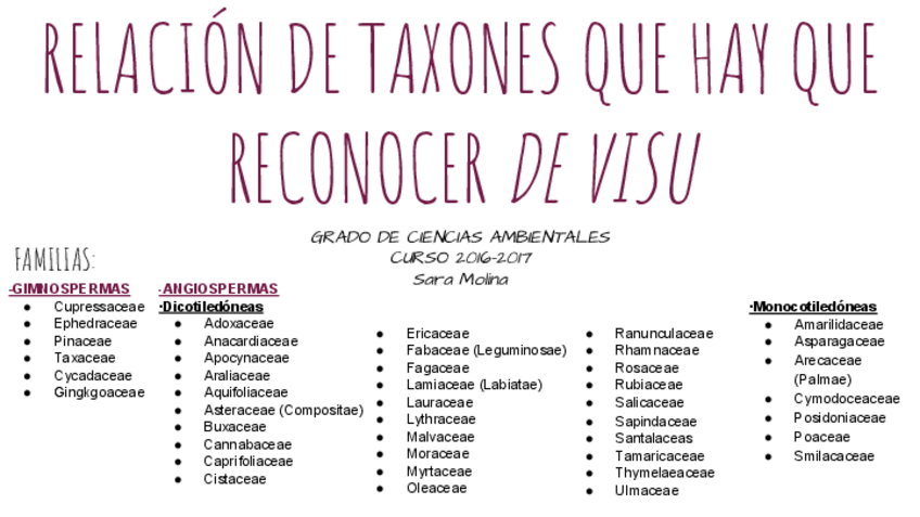 Miniatura del documento VISU GRADO DE CIENCIAS AMBIENTALES.pdf