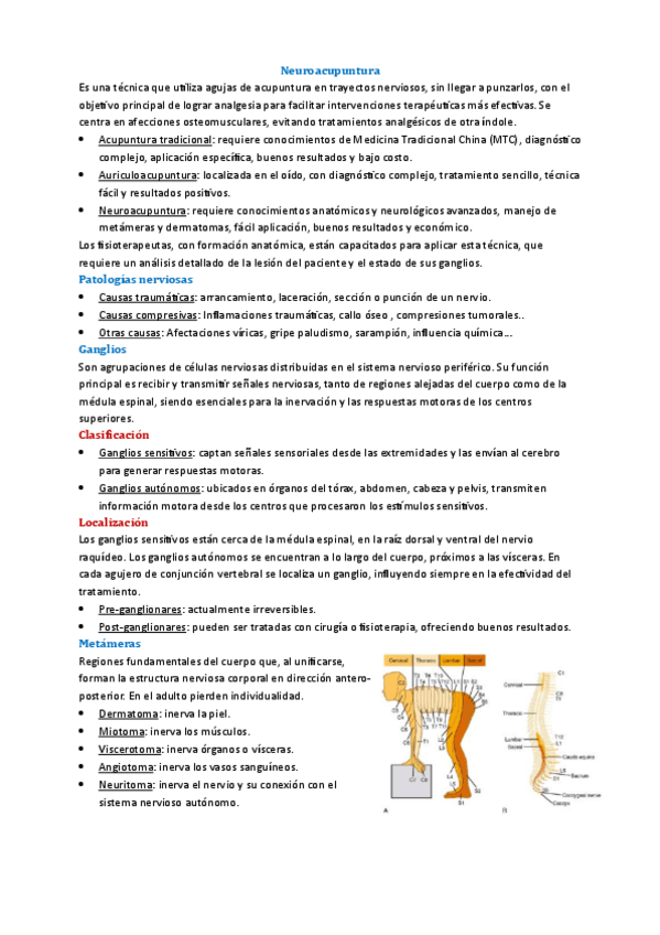 Miniatura del documento Tema-5-Terapias-Alternativas.pdf