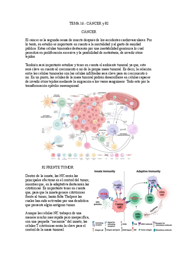 Miniatura del documento Tema-16.-Cancer-y-RI.pdf