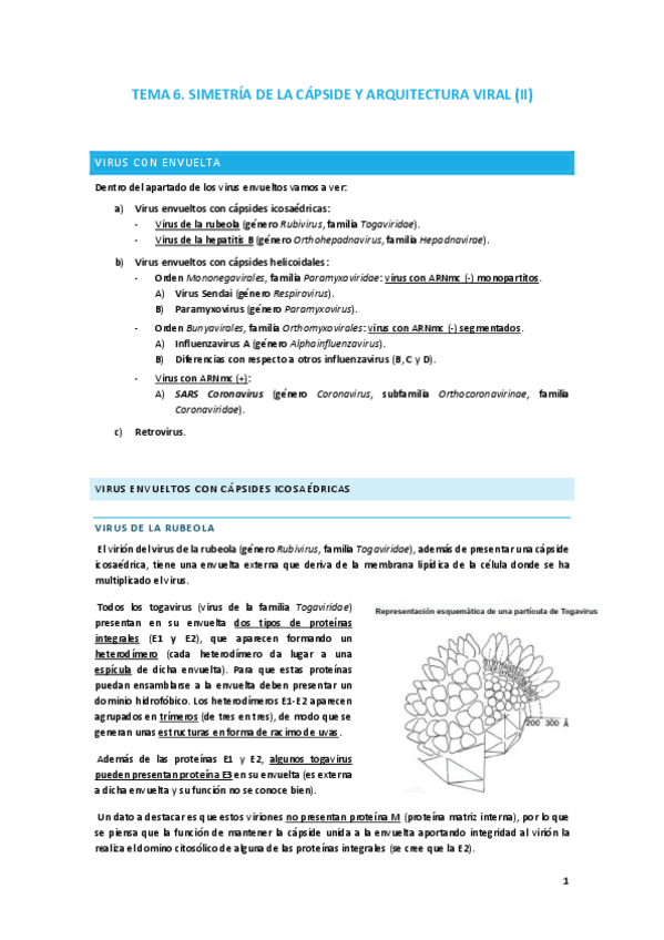 Miniatura del documento VIRO-TEMA-6.pdf