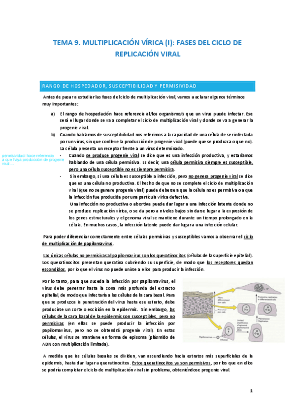 Miniatura del documento VIRO-TEMA-9.pdf