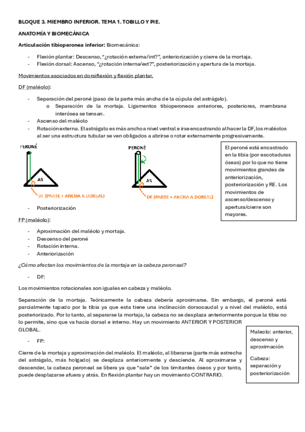 Miniatura del documento BLOQUE-3.-TOBILLO-TEORIA.pdf