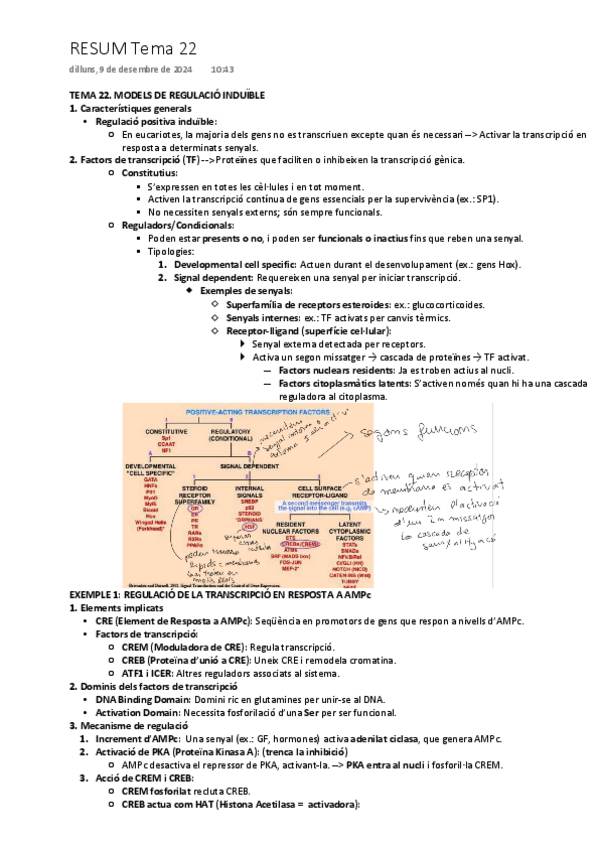 Miniatura del documento TEMA-22-MODELS-DE-REGULACIO-INDUIBLE.pdf