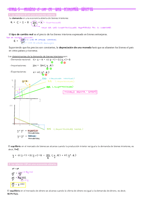 Miniatura del documento Tema-5-Modelo-IS-LM-en-una-economia-abierta..pdf