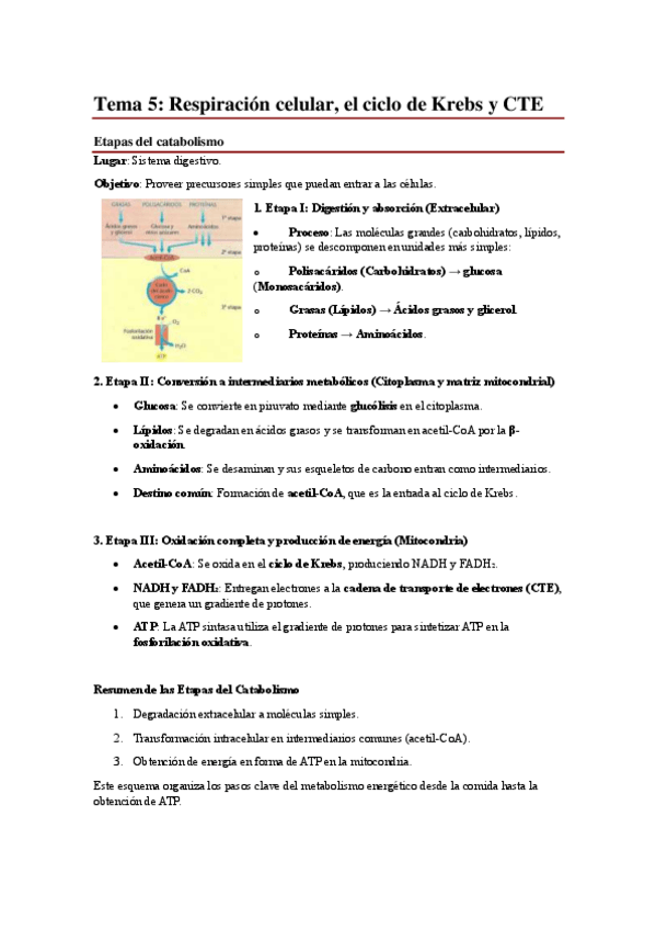 Miniatura del documento Tema-5.pdf
