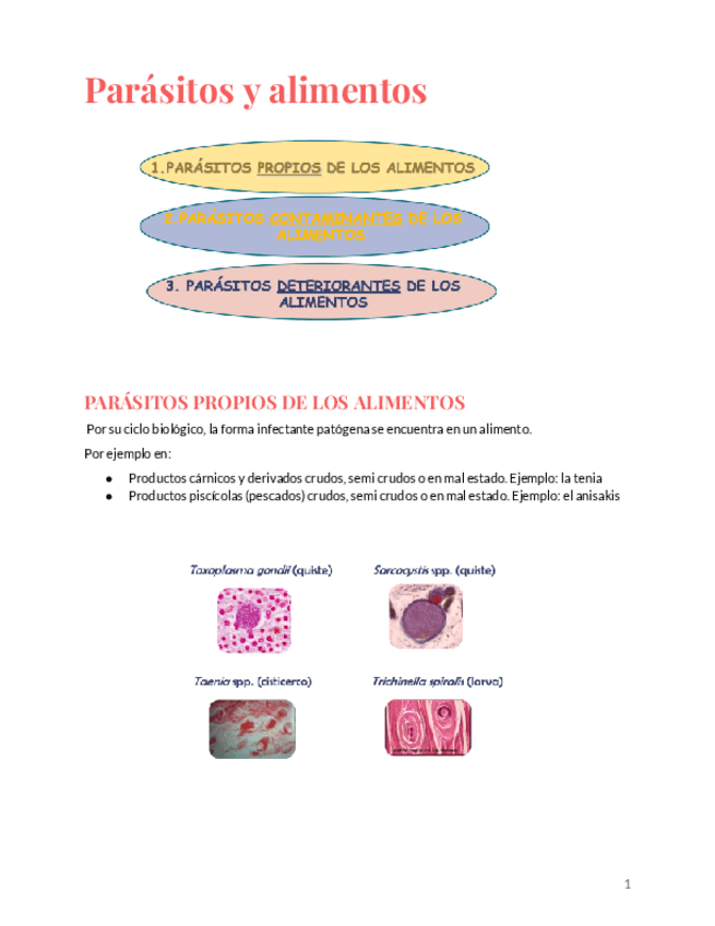 Miniatura del documento tema-4.pdf