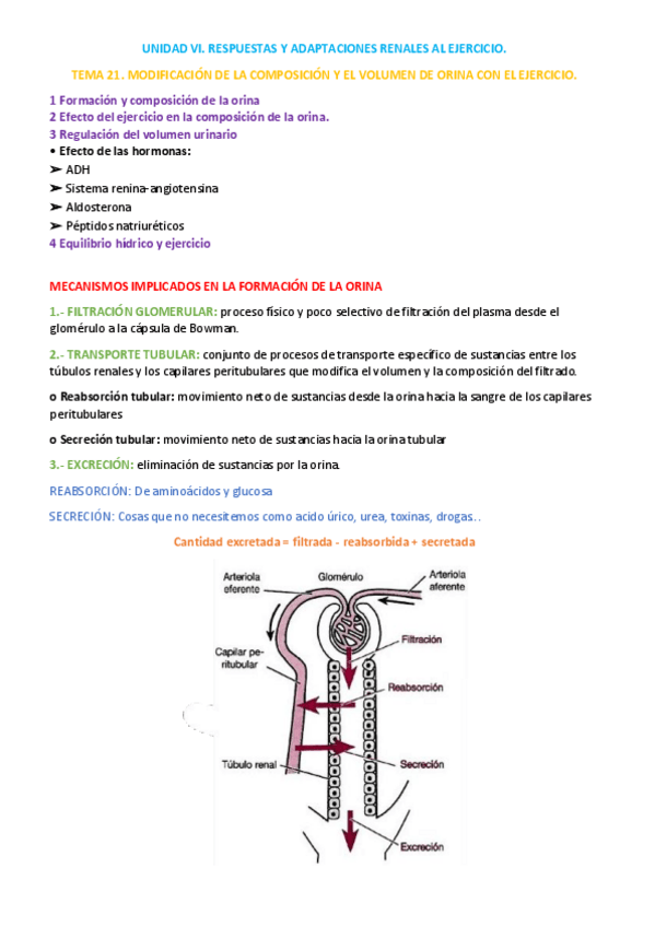 Miniatura del documento UNIDAD-VI-tema-21.pdf