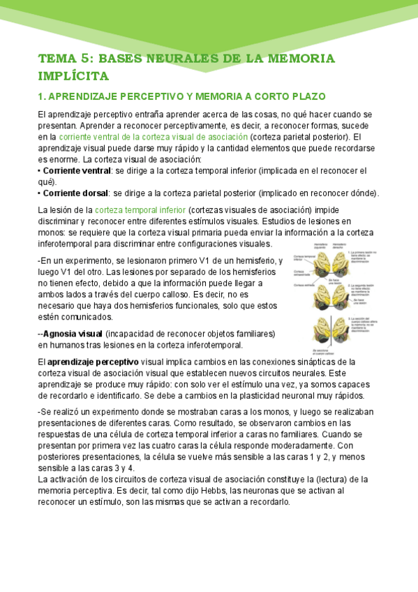 Miniatura del documento TEMA-5-MEMORIA-IMPLICITA.pdf