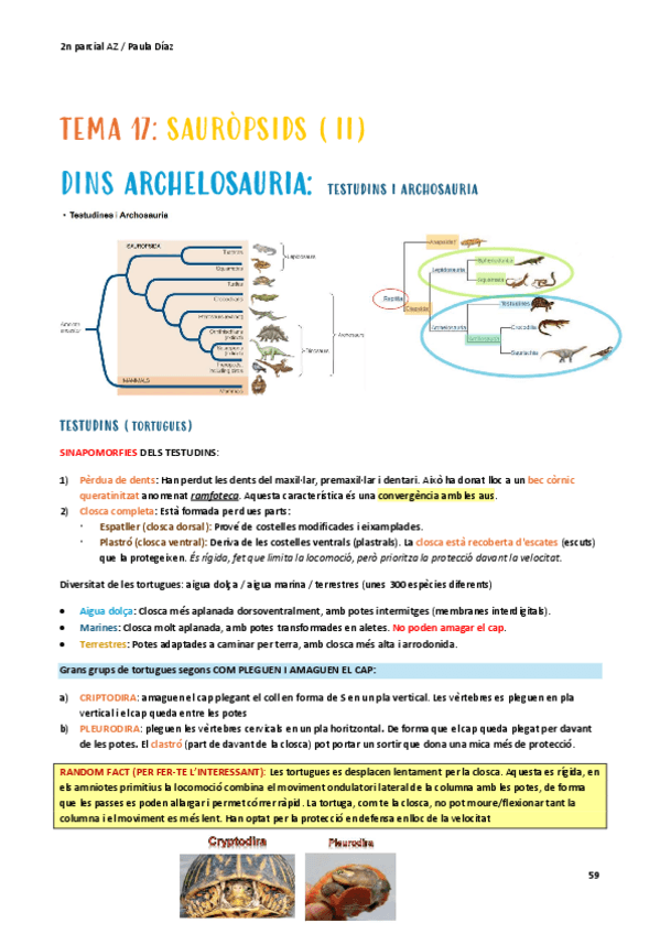Miniatura del documento t-17-zoo.pdf