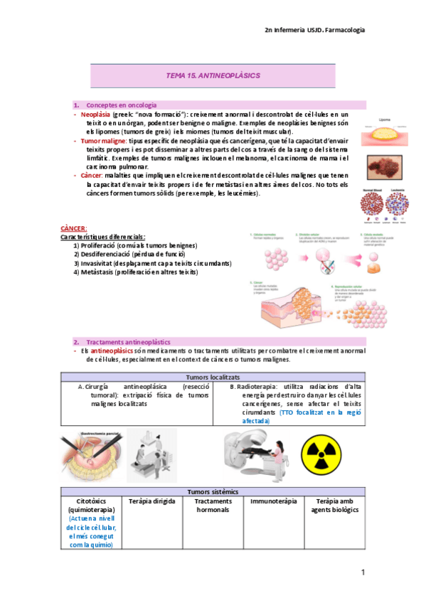 Miniatura del documento TEMA-15.-Antineoplasics.pdf