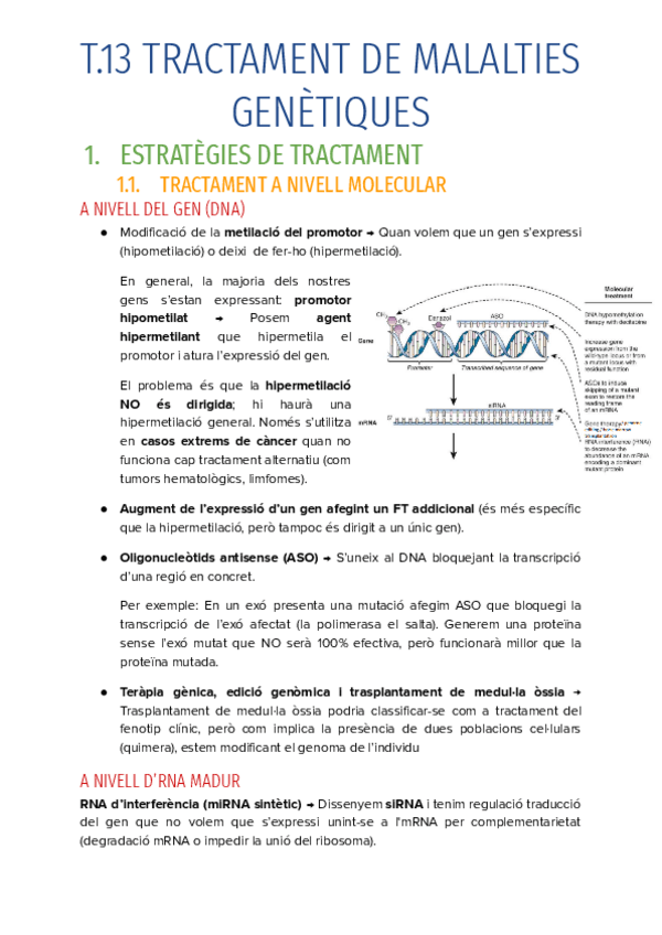 Miniatura del documento T.13-TRACTAMENT-DE-MALALTIES-GENETIQUES.pdf