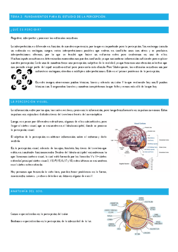 Miniatura del documento PAT-TEMA-2.pdf