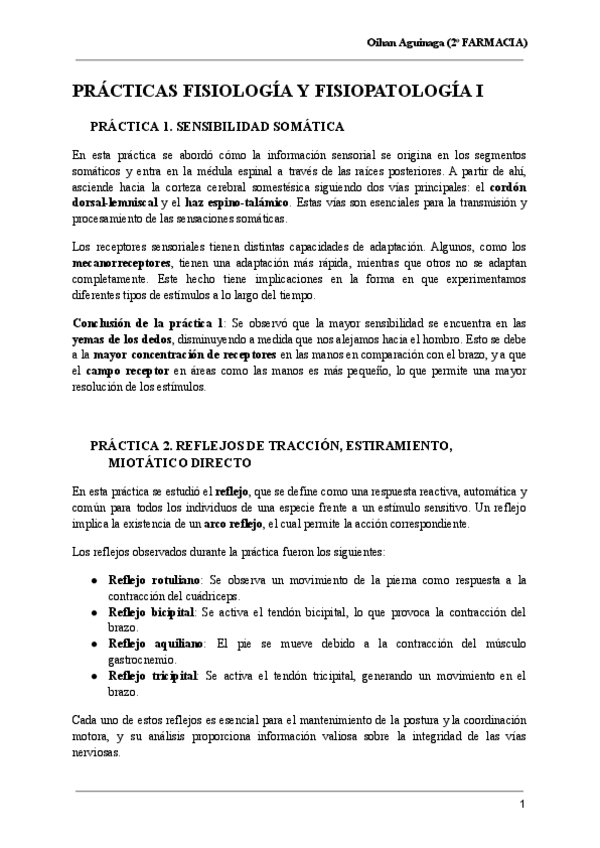 Miniatura del documento COSAS-A-TENER-EN-CUENTA-DE-LAS-PRACTICAS.pdf