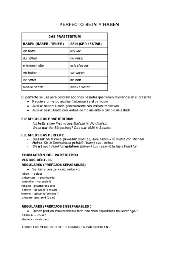Miniatura del documento PERFECTO-SEIN-Y-HABEN.pdf
