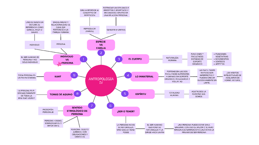 Miniatura del documento Mapa-mental-IV.pdf