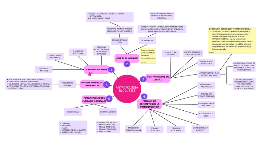 Miniatura del documento Mapa-mental-bloque-II.I.pdf