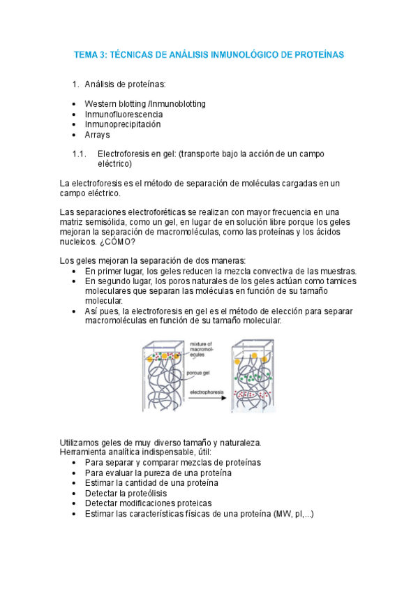 Miniatura del documento tema-3-proteomica.pdf