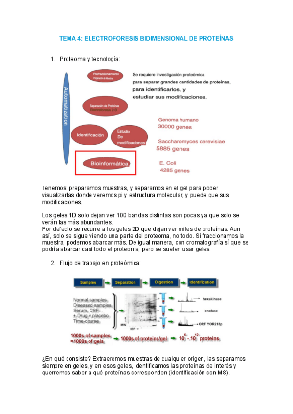 Miniatura del documento tema-4-proteomica.pdf