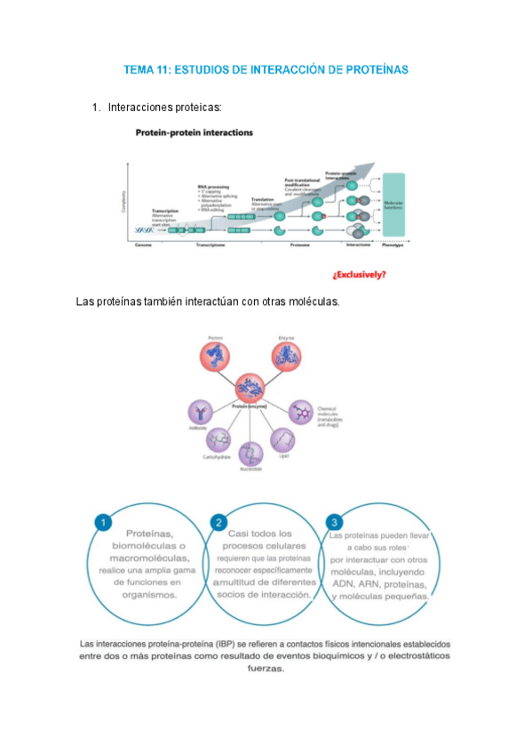 Miniatura del documento tema-11-proteomica.pdf
