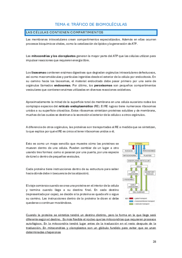 Miniatura del documento tema-4.pdf