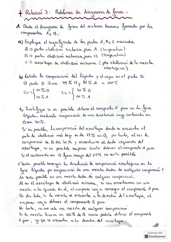 Miniatura del documento Relacion-3-Diagrama-de-fases-resuelta.pdf