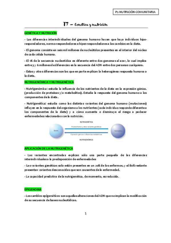 Miniatura del documento T7.-Genetica-y-nutricion-apuntes.pdf