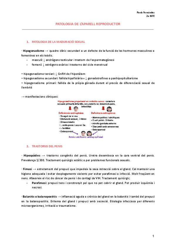 Miniatura del documento Pat.-aparell-reproductor.pdf