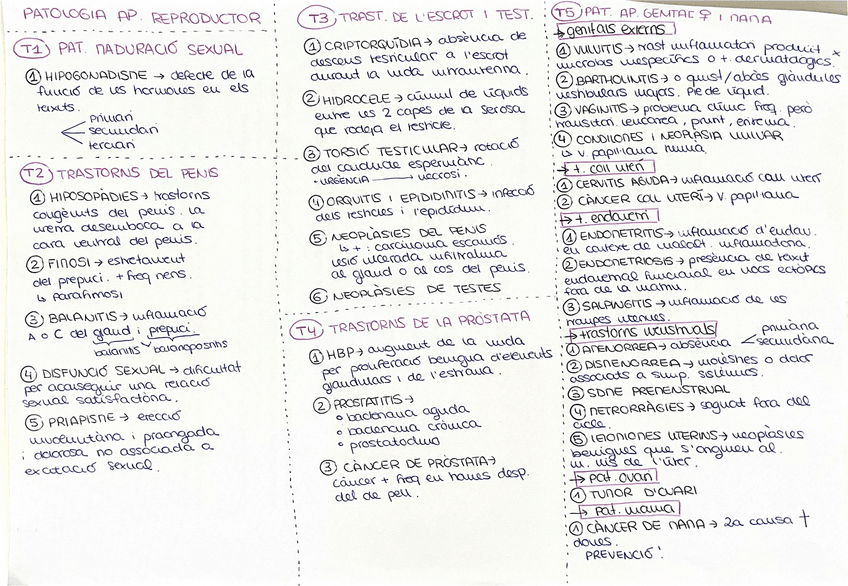 Miniatura del documento Patologia-ap-reproductor.pdf