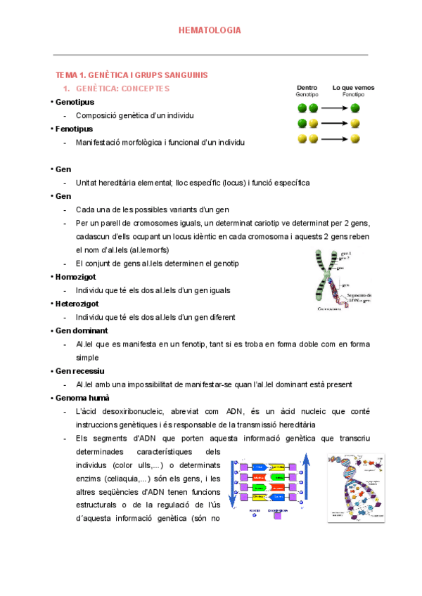 Miniatura del documento HEMATOLOGIA.pdf