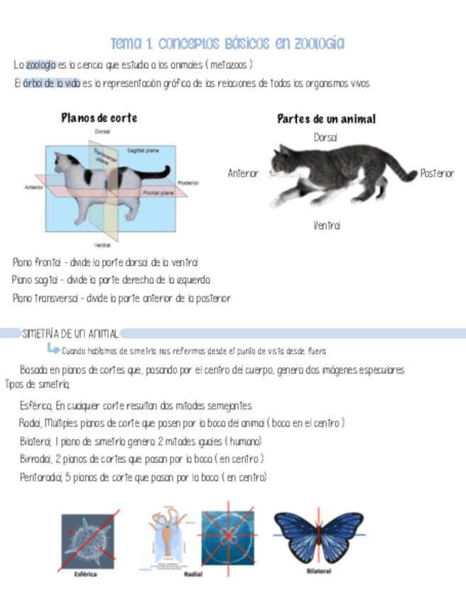 Miniatura del documento Zoologia-Tema-I.pdf